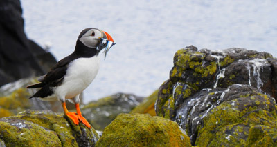 Concerns over plan for managing Welsh seas