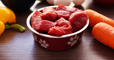 Raw diets 'pose risk to human and animal health'