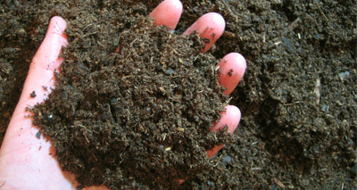 New antibiotic compounds discovered in soil