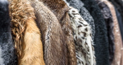 Inquiry launched into fur trade in the UK