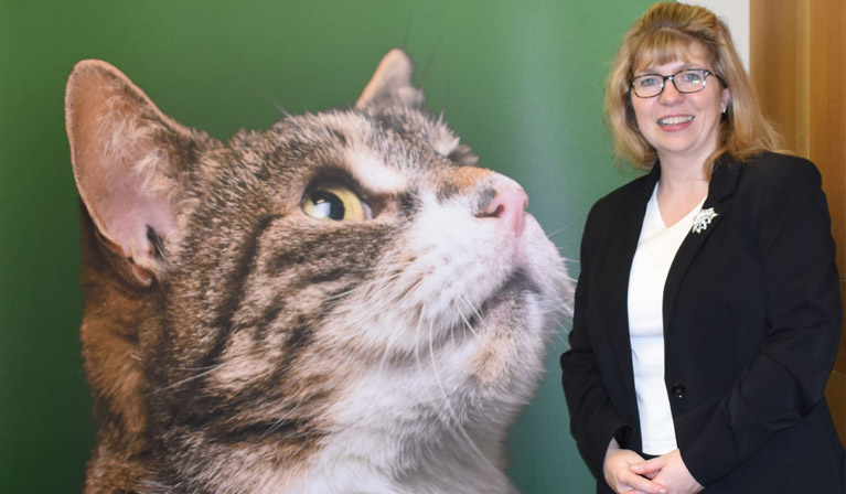 Parliamentary group to improve feline welfare