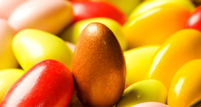 Vets issue chocolate warning to pet owners