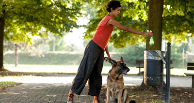 Interactive map to tackle dog fouling