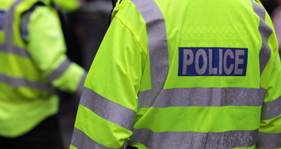 Over 100 dogs removed in rescue centre raid