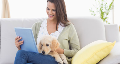 Rescue animals struggling to compete with online sales