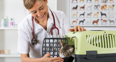 Pets Need Vets campaign launched