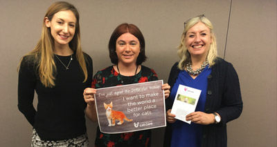 Cat welfare declaration reaches 21,000 signatures