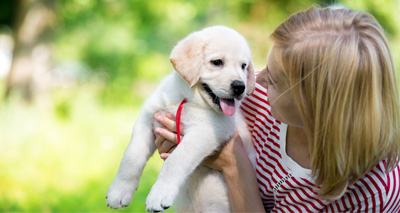 ‘Trust Your Vet’ on antibiotics, owners urged