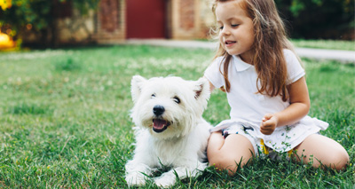 Pet-owning households rise by 600,000