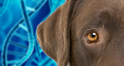 Mars Petcare acquires OptiGen, LLC