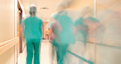 Vets move into non-clinical roles after seven years