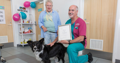 Border collie receives national devotion award