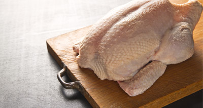 Campylobacter levels in fresh chicken remain steady