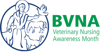 Veterinary Nursing Awareness Month ‘a huge success’