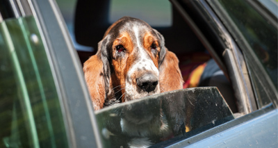 Charity worker locks himself in hot car