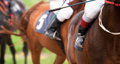 Project to improve diagnosis of IAD in racehorses