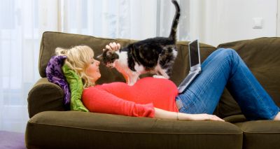 New whole blood test for toxoplasmosis