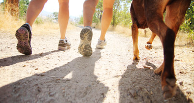 Scientists discover potential treatment for Alabama rot