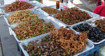 Eating crickets 'could benefit gut health'