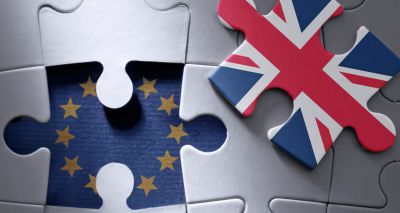 Concerns ‘no deal’ Brexit will disrupt veterinary medicine supply