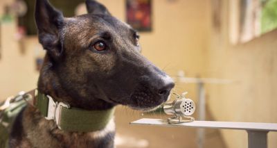 New sniffer dog technology a ‘game changer’