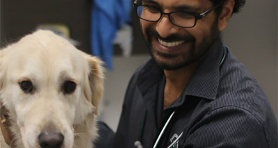 WSAVA awards Australian vet with 'Next Generation’ award