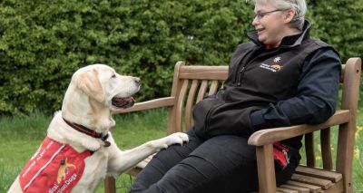 Photography project puts working dogs in the spotlight