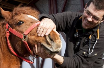 Equine vets share heartfelt declarations in new campaign
