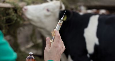 Vets working to reform OV training and revalidation