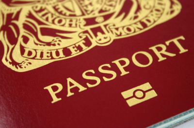 BVA raises concerns over migration recommendations