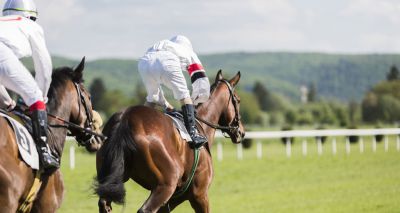 BHA issues warning over products containing altrenogest