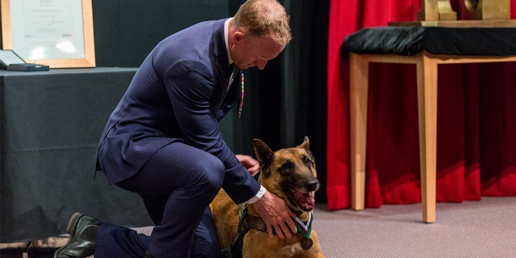 Australian war dog receives PDSA Dickin Medal