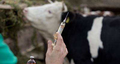 Fall in sales of veterinary antimicrobials - report