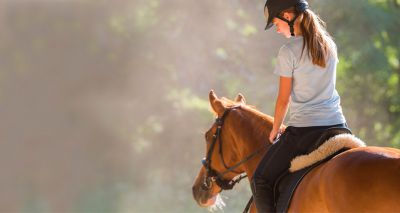 Equine sector welcomes new ID legislation