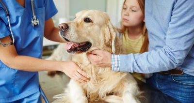 College publishes case studies on informed consent