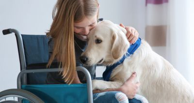 Nominations open for Blue Cross Medal 2019