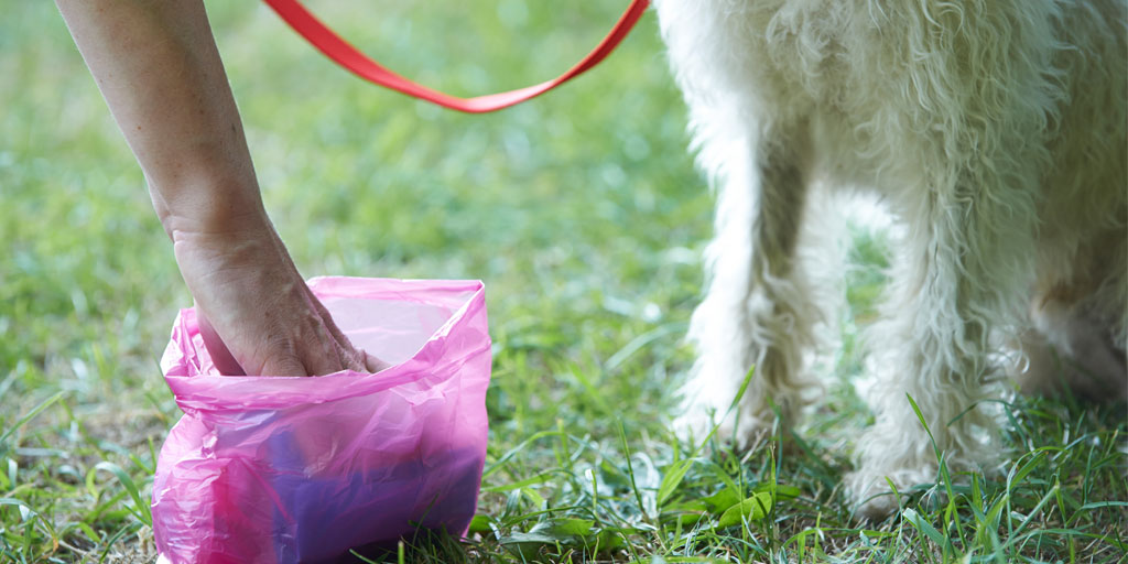 New insights into endoparasite prevalence