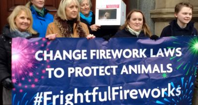 Fireworks petition delivered to UK Government