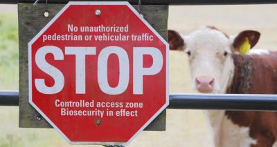 Call for new independent body on bTB control