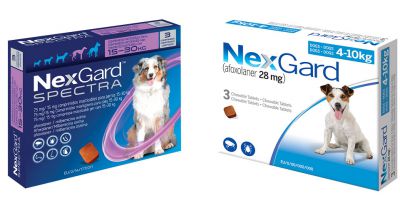 NexGard range approved for serious skin diseases