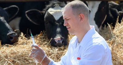 UK antibiotic sales fall 40 per cent in five years