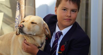Dog employed as therapist at Bromley school