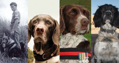 Memorial to celebrate military working dogs
