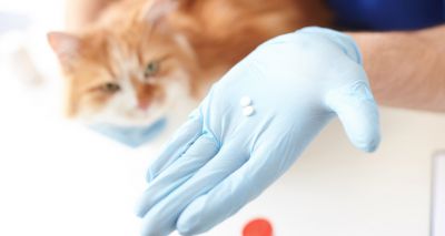 AMR: Call for responsible prescribing decisions