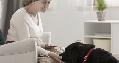Pet ownership linked to decreased need for medications in humans