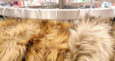 Government responds to fur trade inquiry