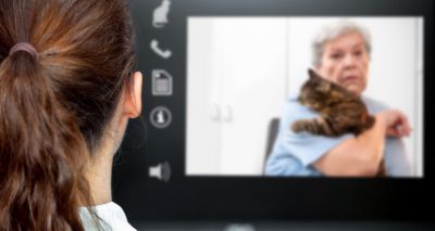 Further work needed on telemedicine trial - RCVS Council