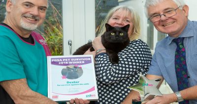 Cat wins award after miraculous airgun recovery