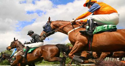 Detection time for omeprazole reduced to 48 hours in racehorses