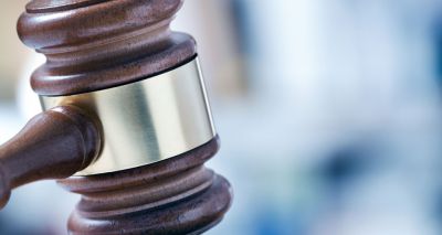 Scotland launches consultation on animal cruelty sentencing